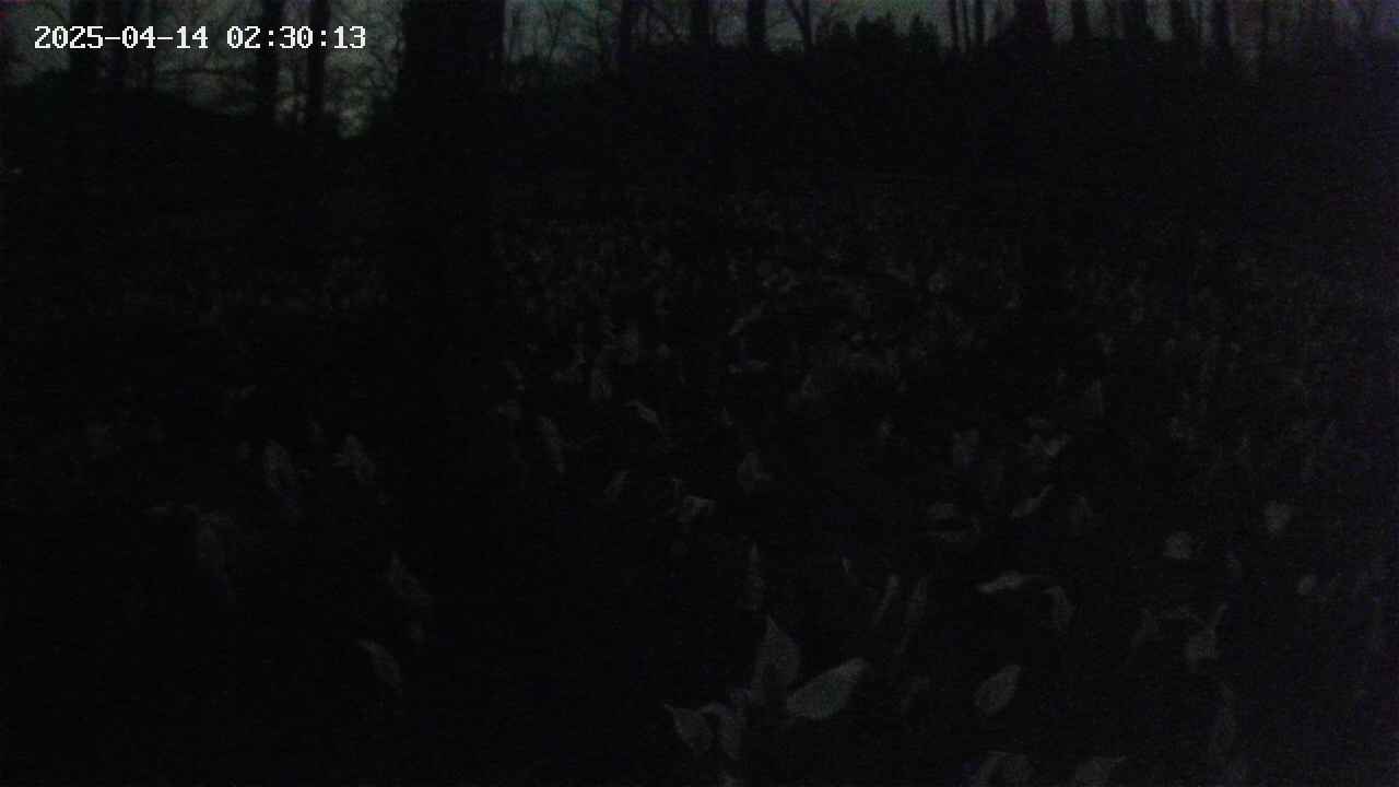 mizubasho1-20250414023015.jpg