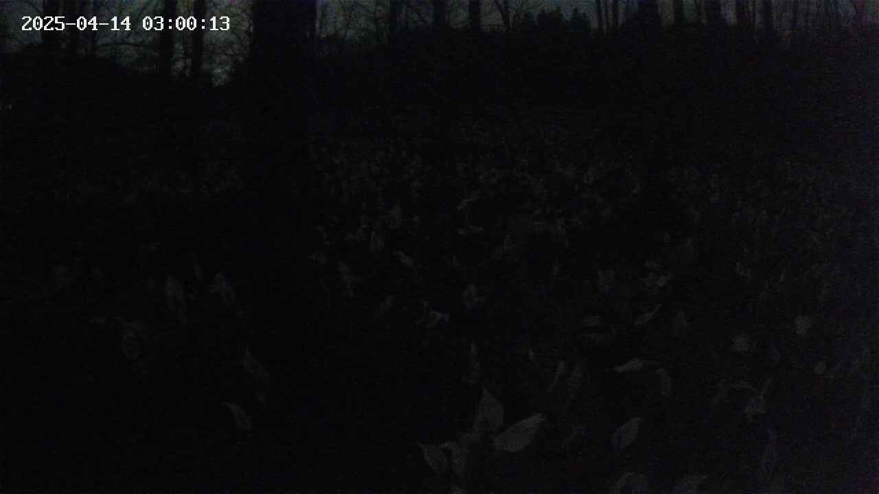 mizubasho1-20250414030014.jpg