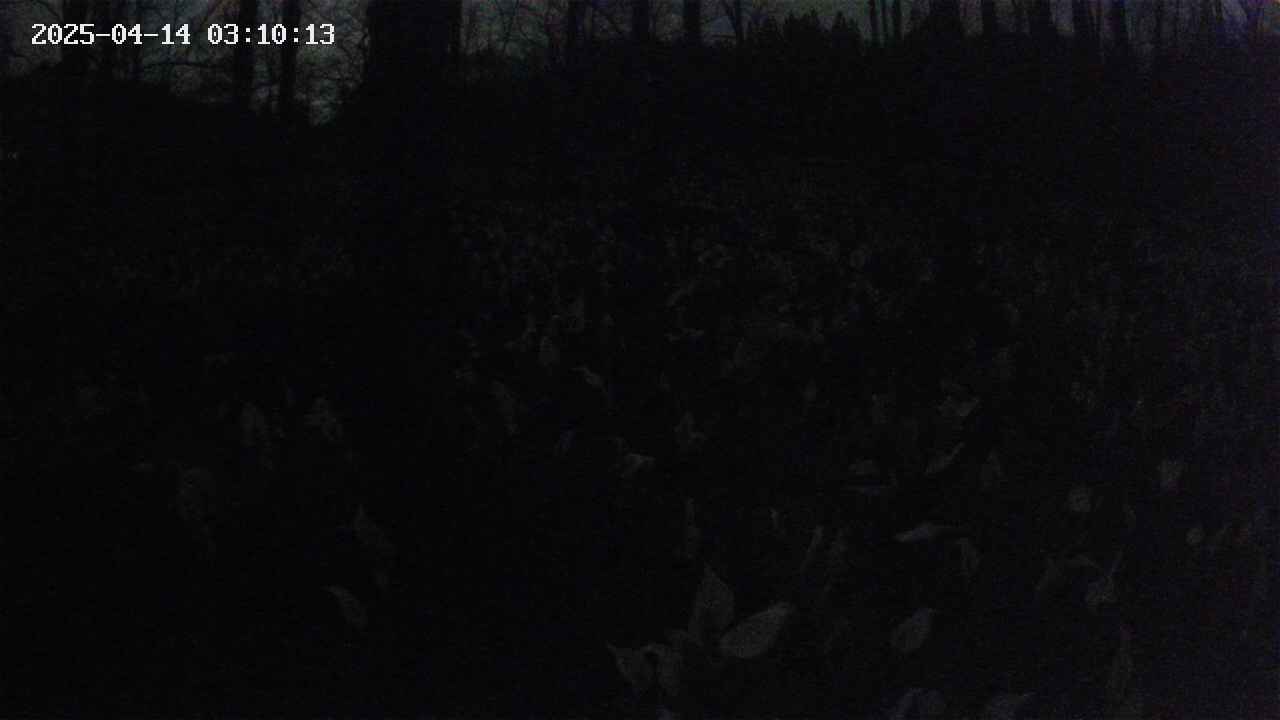 mizubasho1-20250414031014.jpg