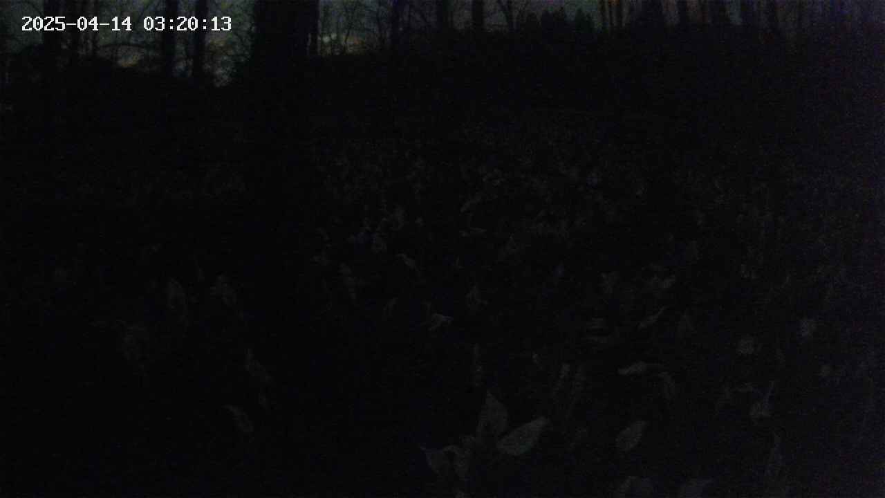 mizubasho1-20250414032015.jpg