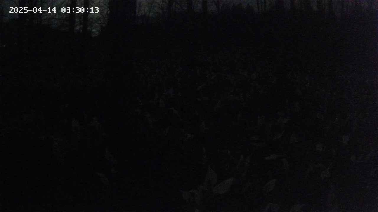 mizubasho1-20250414033014.jpg