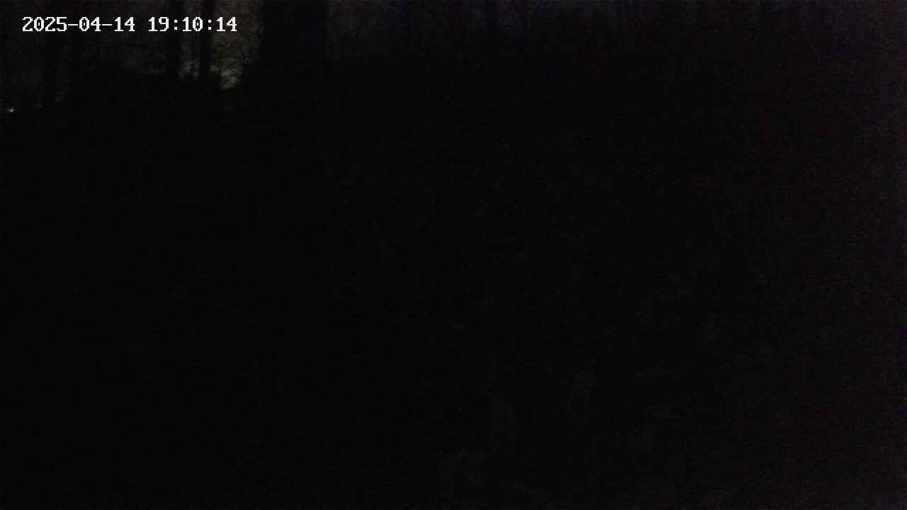 mizubasho1-20250414191015.jpg