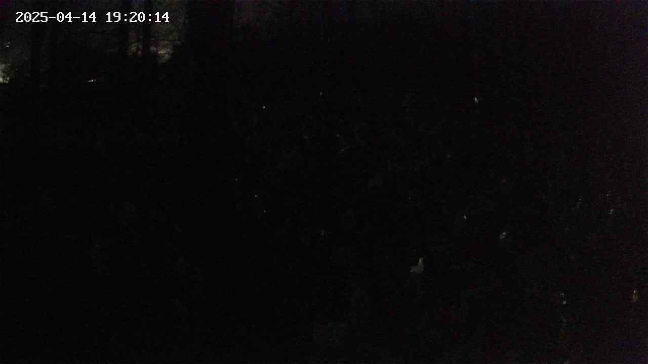 mizubasho1-20250414192014.jpg