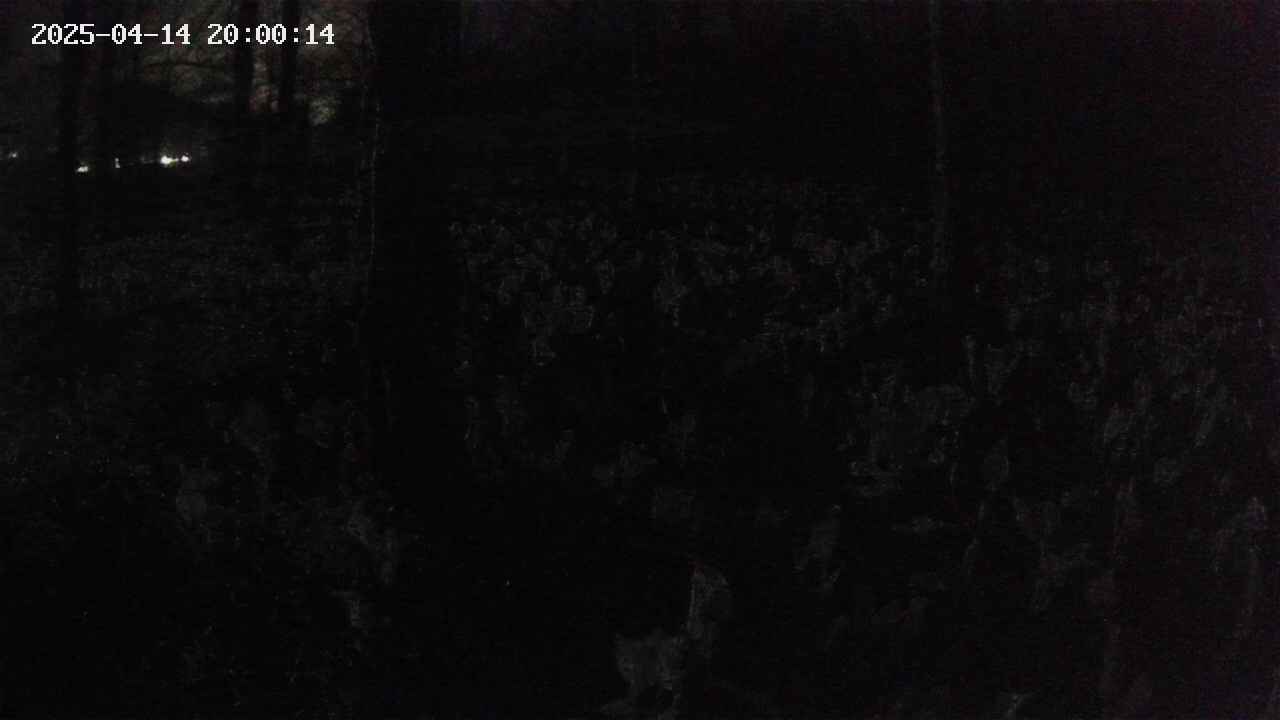mizubasho1-20250414200015.jpg