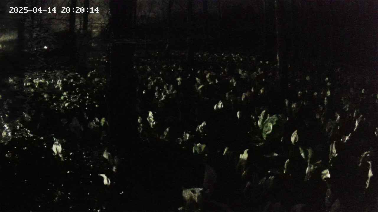 mizubasho1-20250414202015.jpg