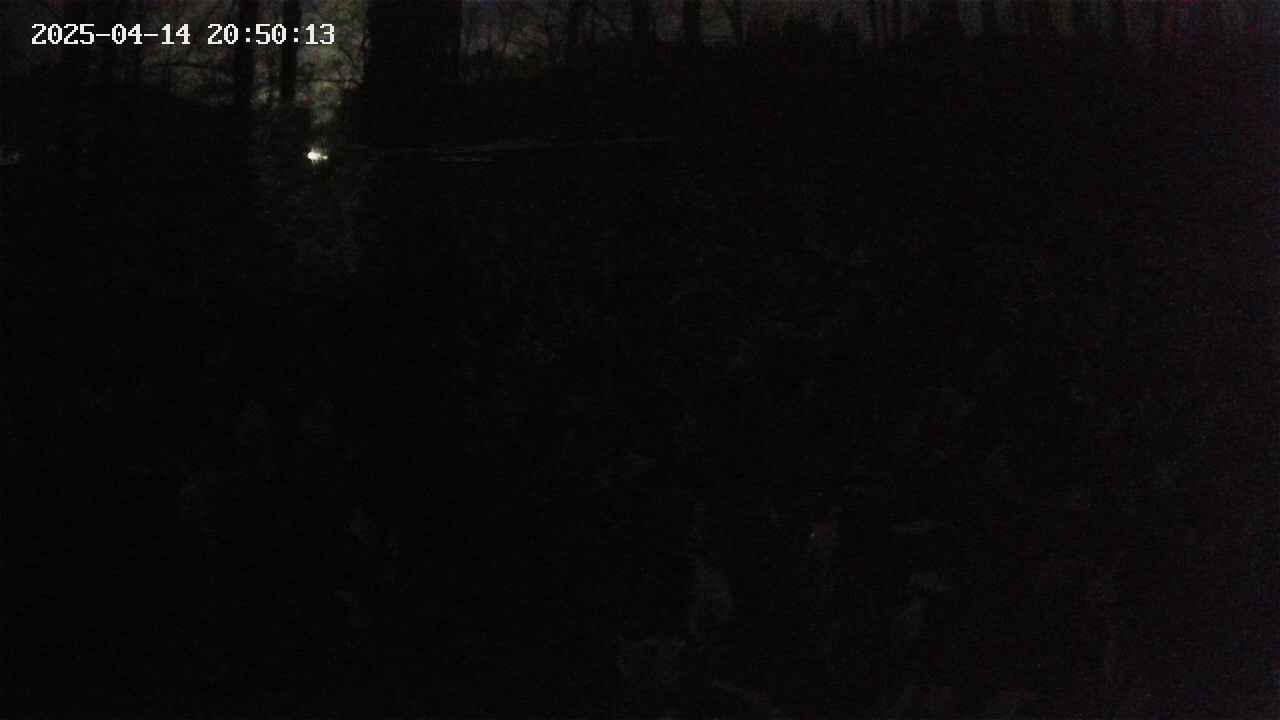 mizubasho1-20250414205014.jpg