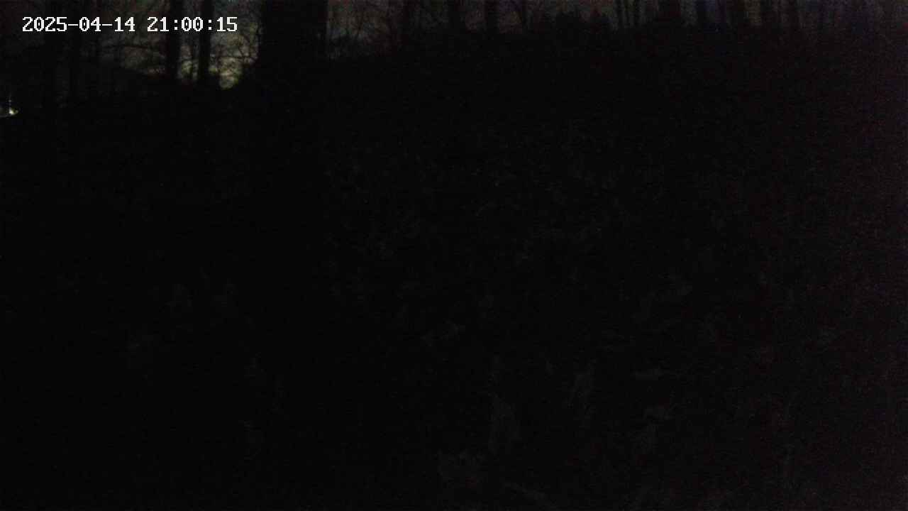 mizubasho1-20250414210016.jpg