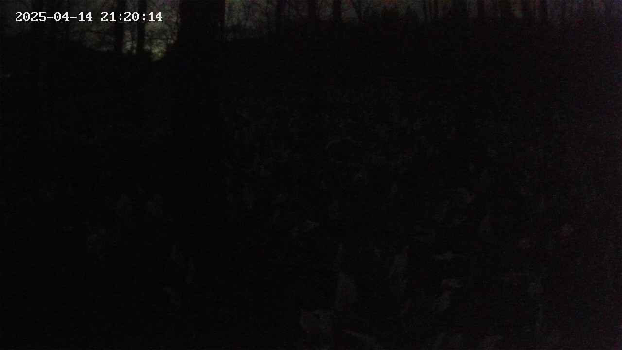 mizubasho1-20250414212015.jpg