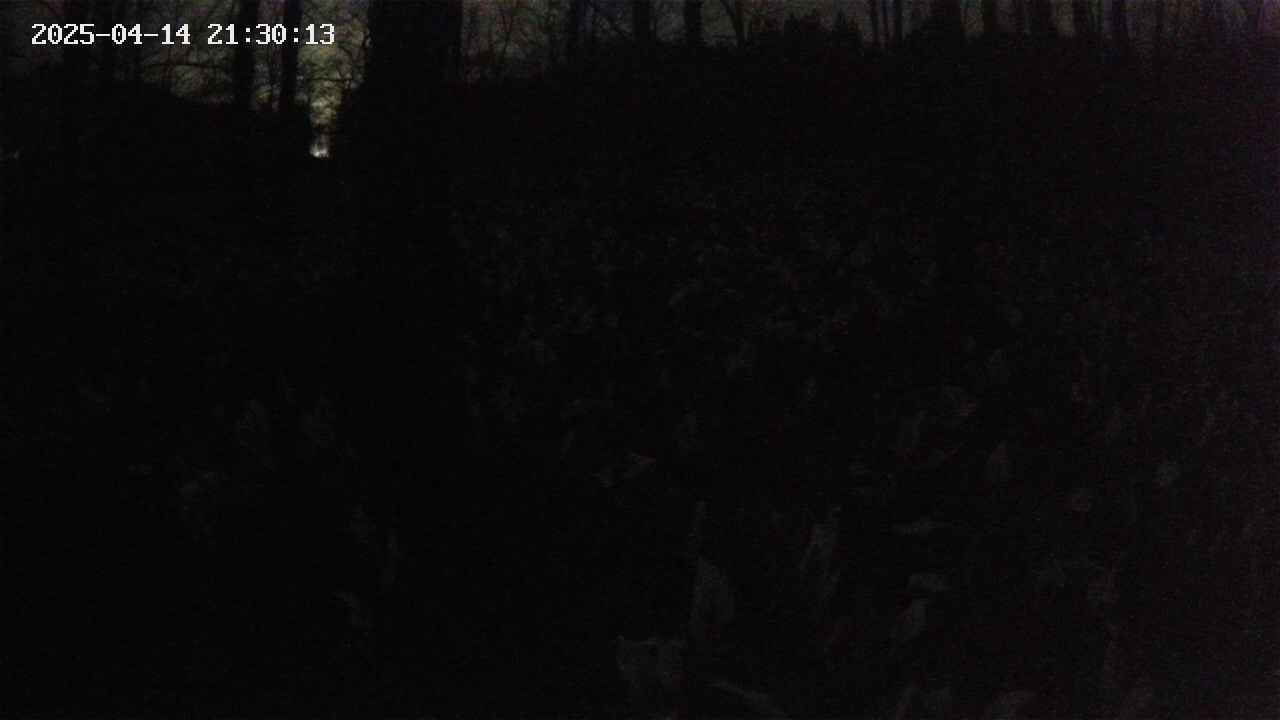 mizubasho1-20250414213014.jpg