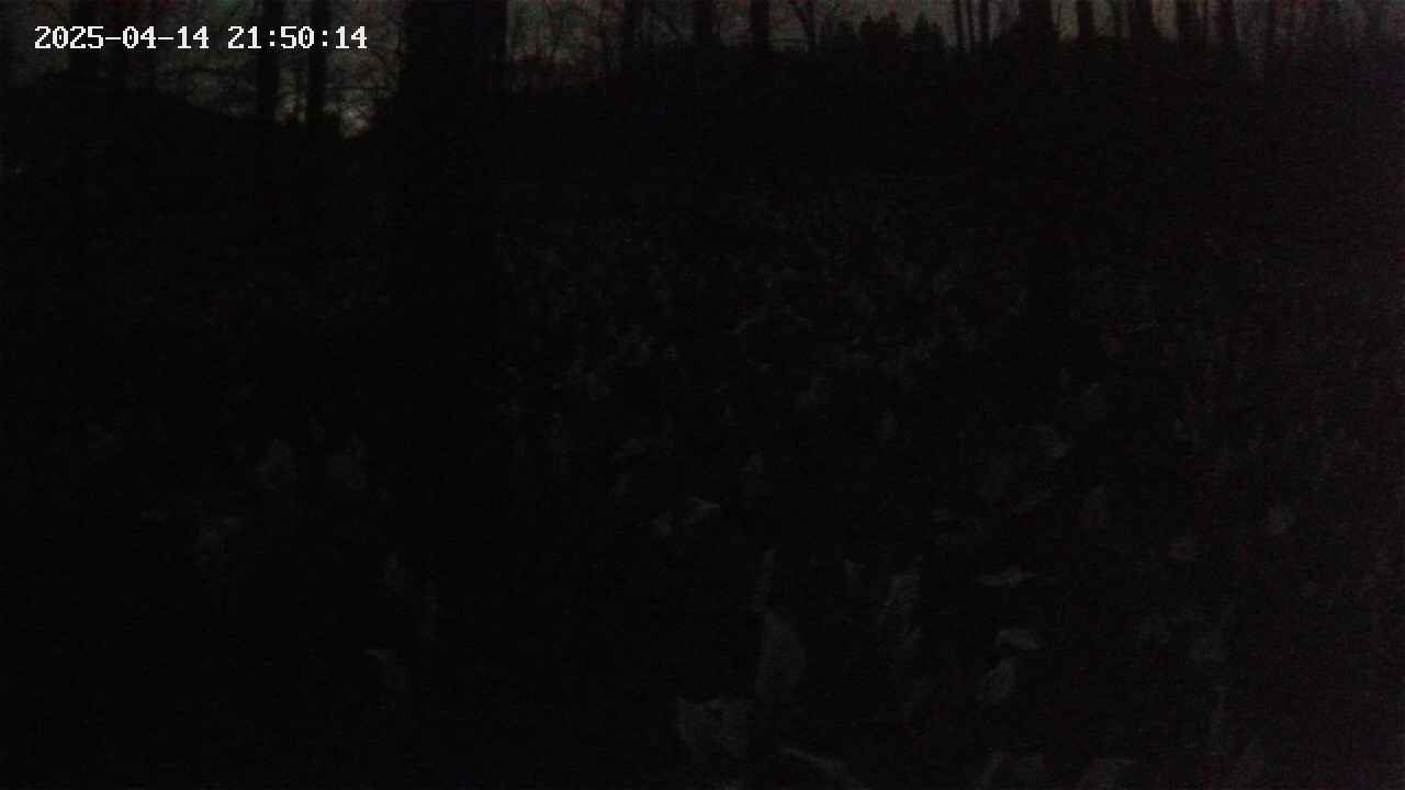 mizubasho1-20250414215015.jpg