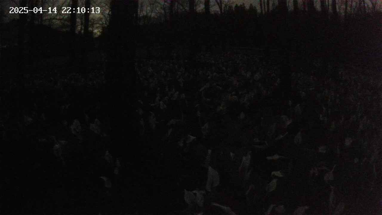 mizubasho1-20250414221014.jpg