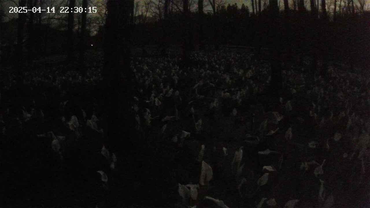 mizubasho1-20250414223016.jpg
