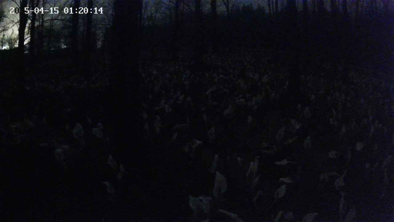 mizubasho1-20250415012014.jpg