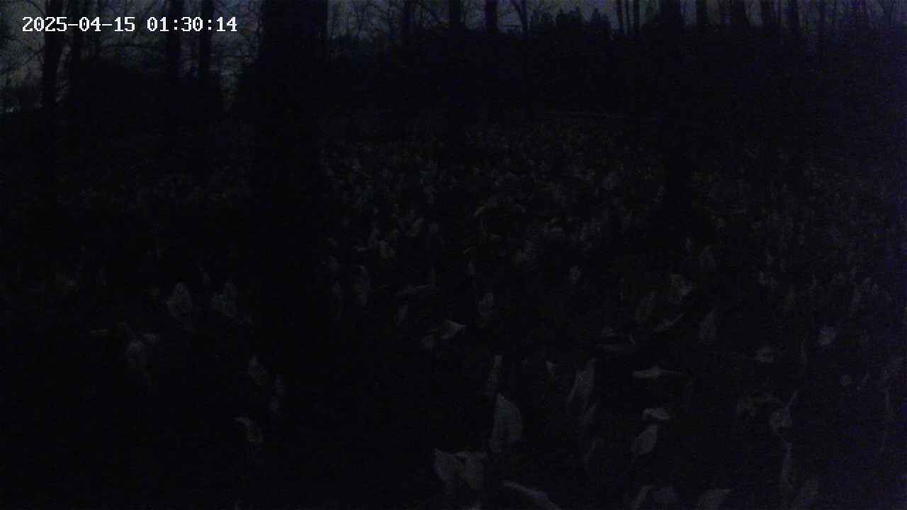 mizubasho1-20250415013015.jpg
