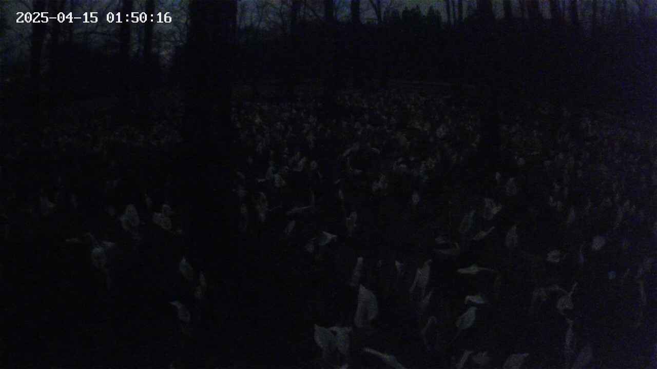 mizubasho1-20250415015017.jpg