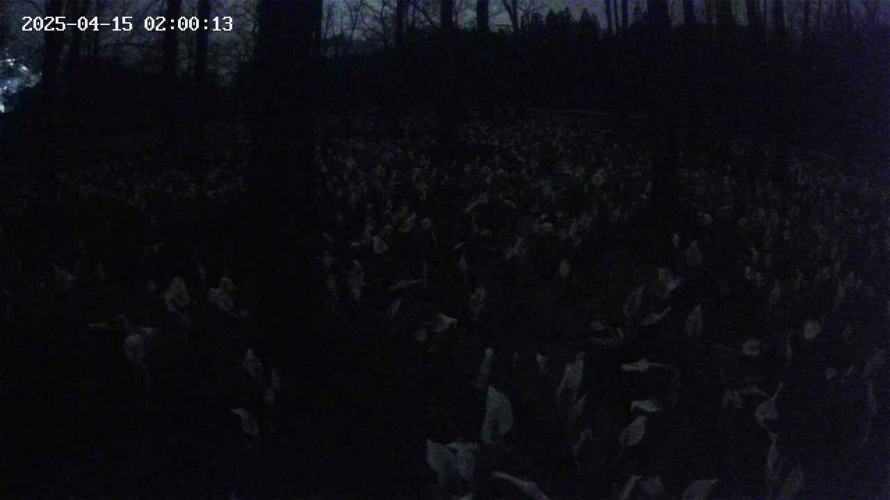 mizubasho1-20250415020014.jpg