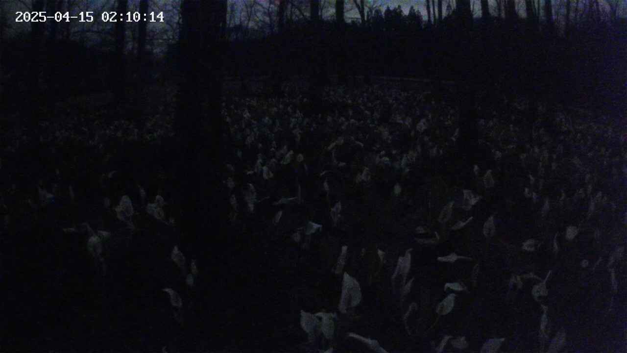 mizubasho1-20250415021015.jpg