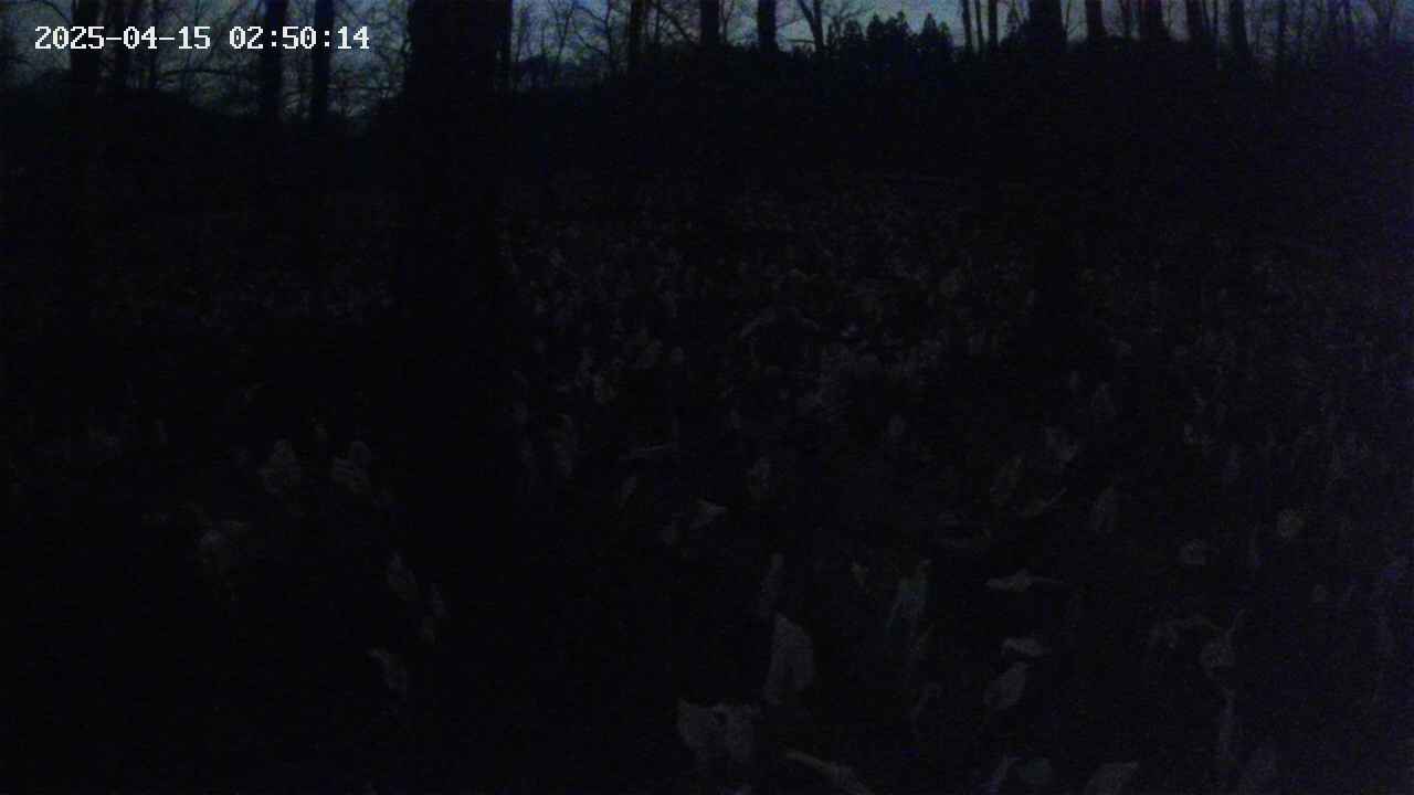 mizubasho1-20250415025015.jpg
