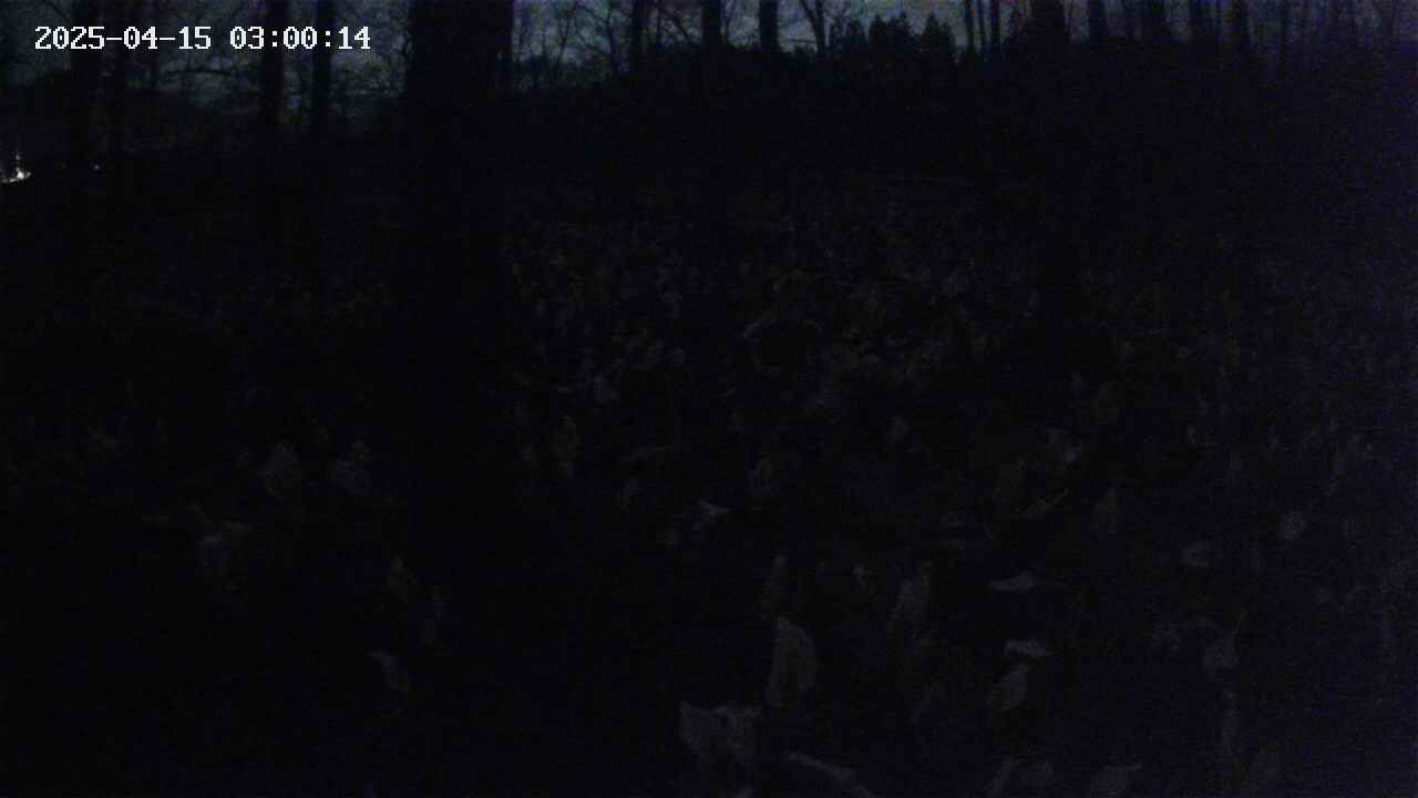 mizubasho1-20250415030015.jpg