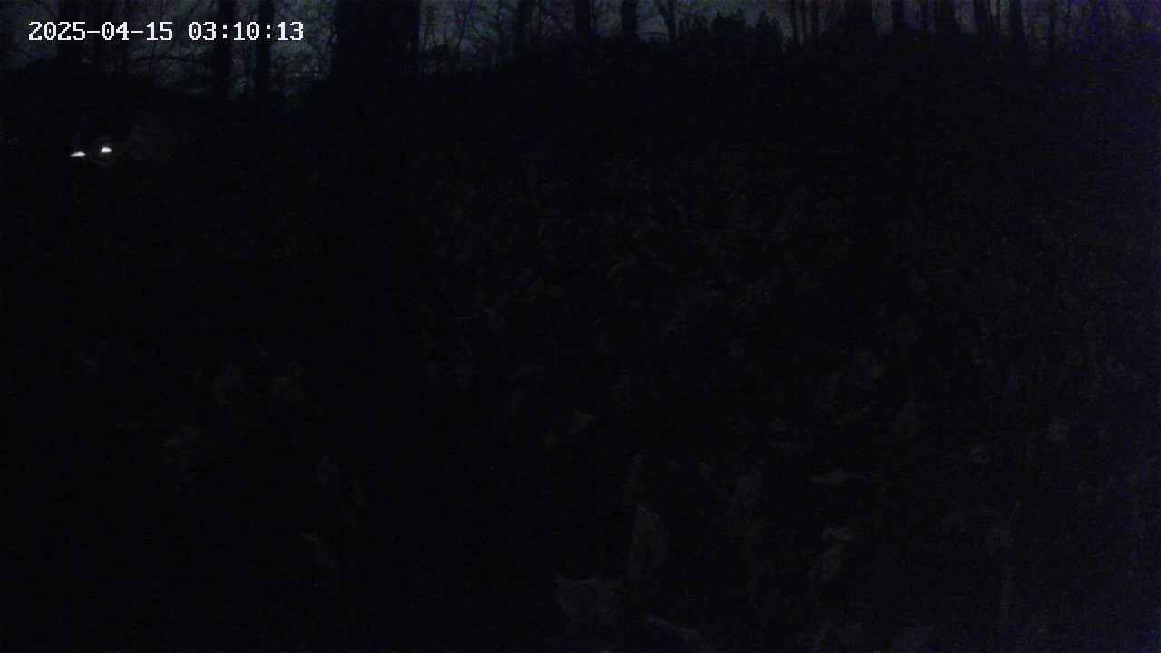 mizubasho1-20250415031014.jpg