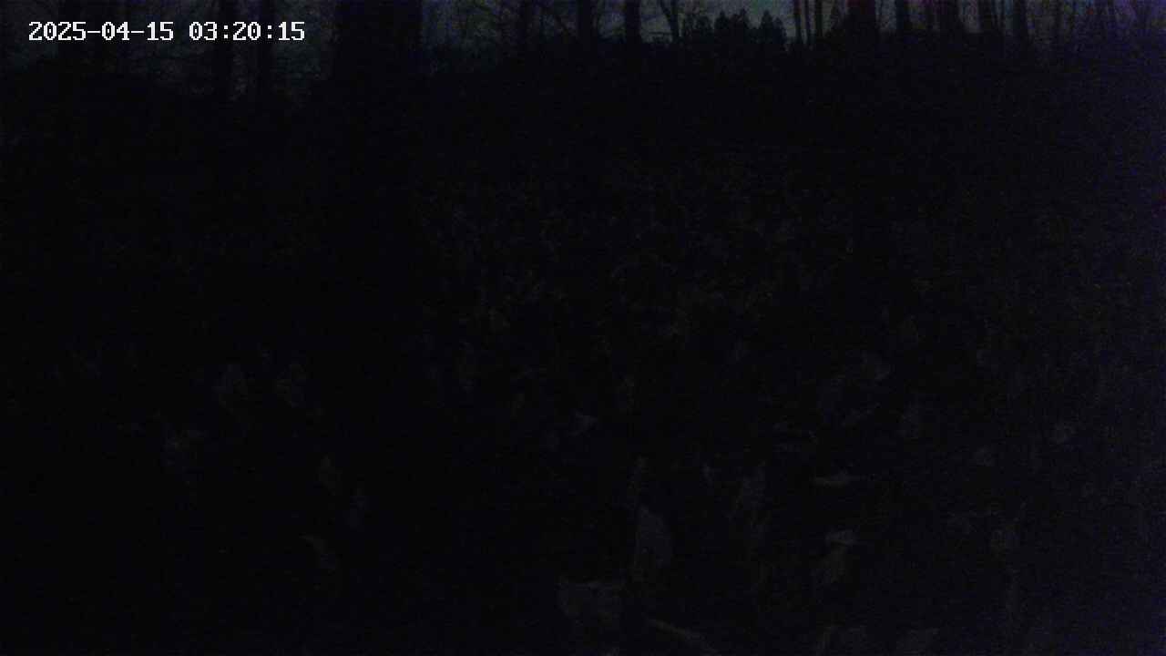mizubasho1-20250415032016.jpg