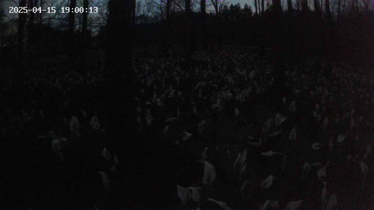 mizubasho1-20250415190014.jpg