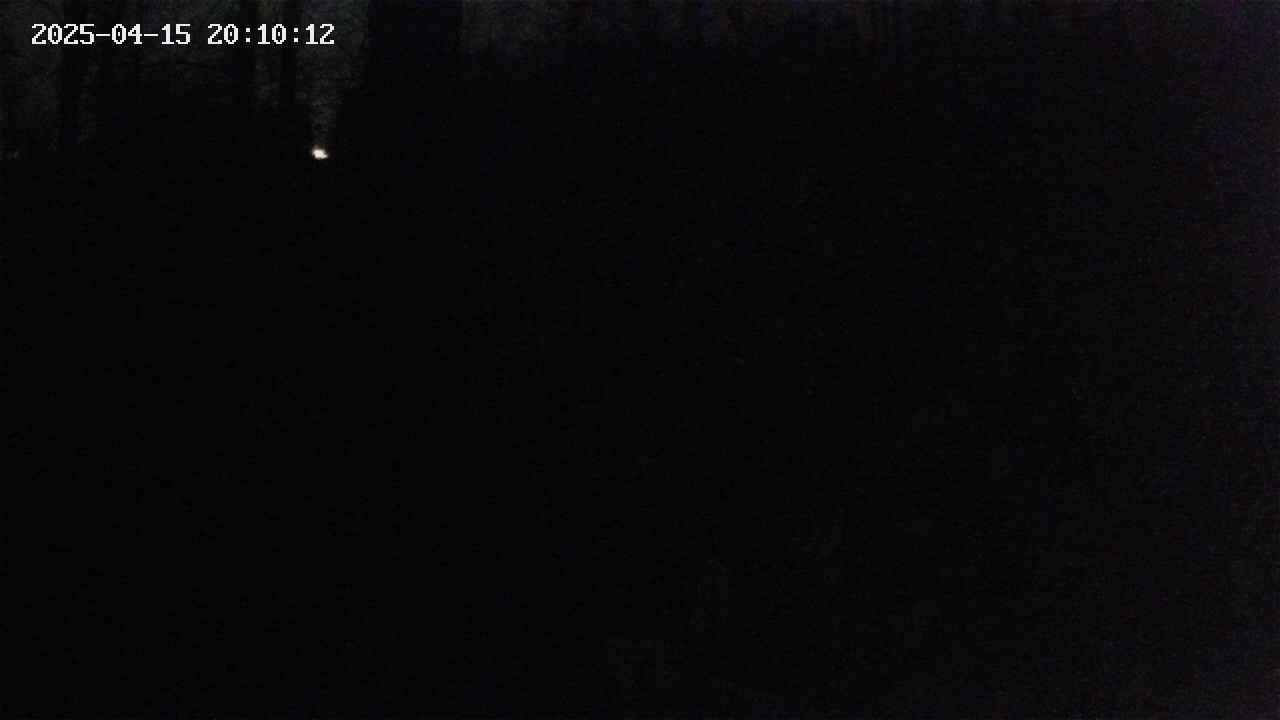 mizubasho1-20250415201013.jpg