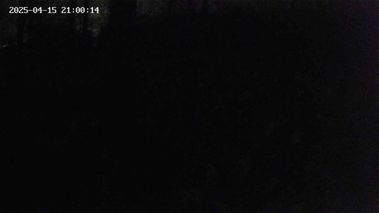 mizubasho1-20250415210014.jpg