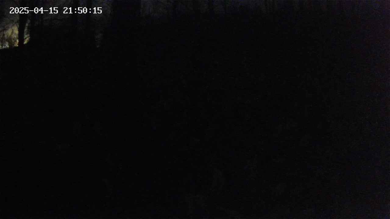 mizubasho1-20250415215016.jpg