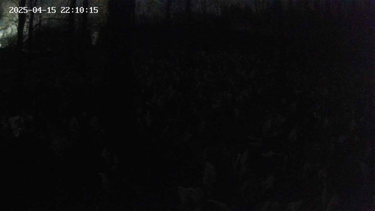 mizubasho1-20250415221015.jpg