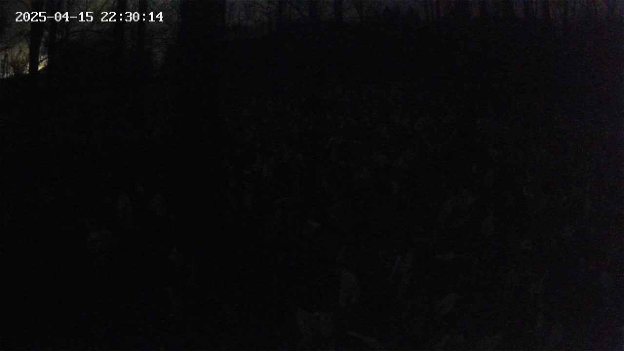 mizubasho1-20250415223014.jpg