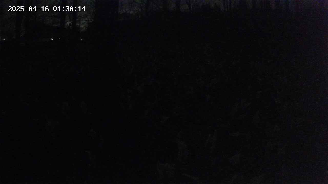 mizubasho1-20250416013015.jpg