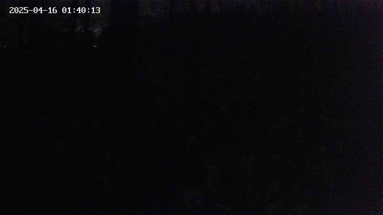 mizubasho1-20250416014014.jpg