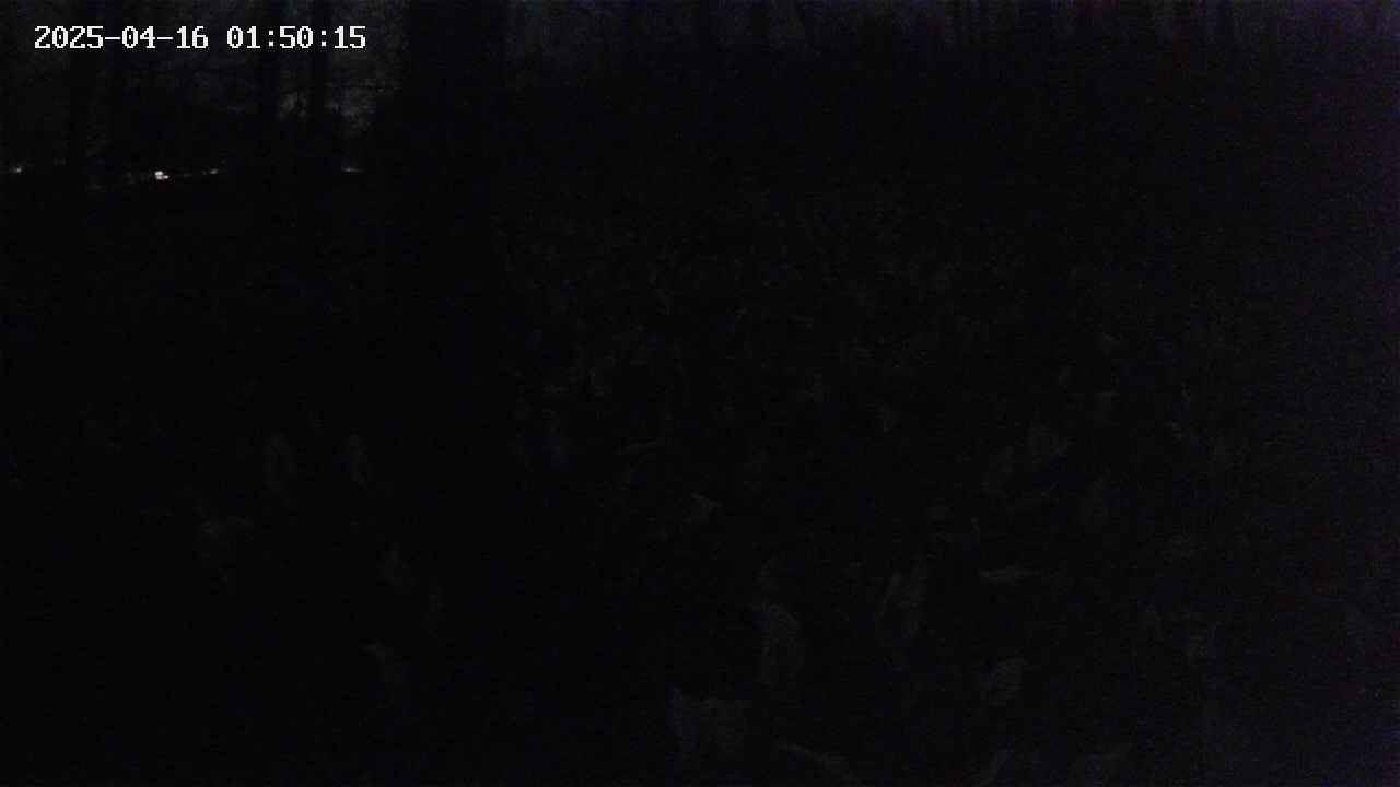 mizubasho1-20250416015016.jpg