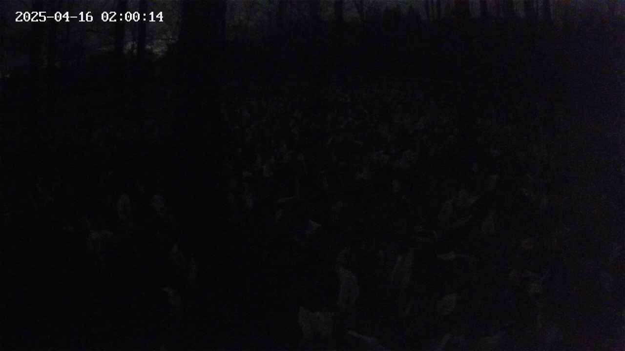 mizubasho1-20250416020015.jpg
