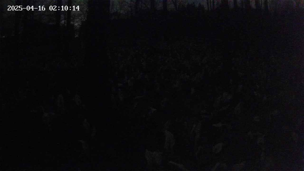 mizubasho1-20250416021014.jpg