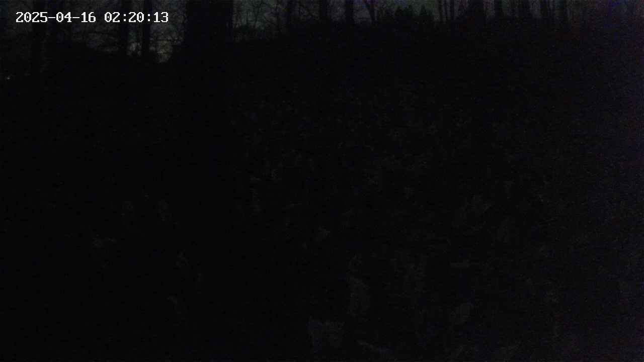 mizubasho1-20250416022014.jpg