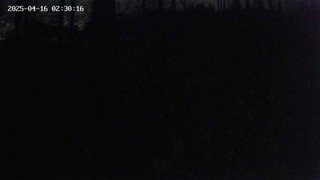 mizubasho1-20250416023016.jpg