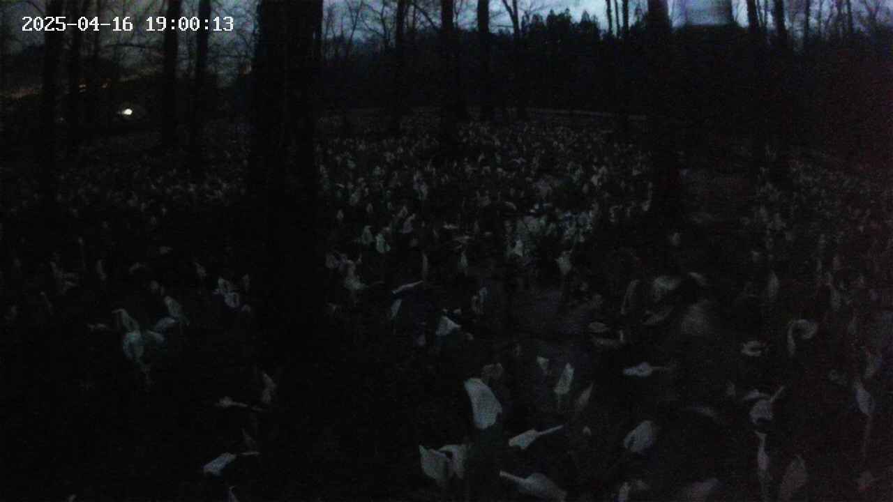 mizubasho1-20250416190014.jpg