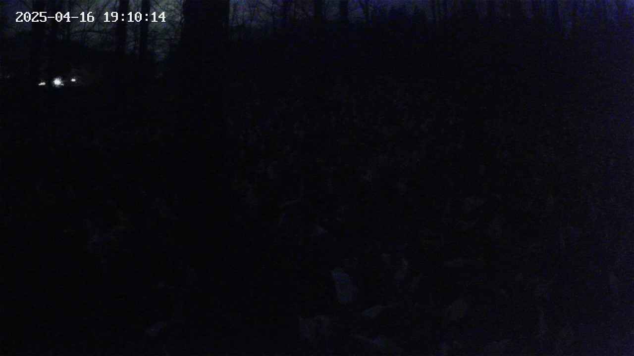 mizubasho1-20250416191015.jpg