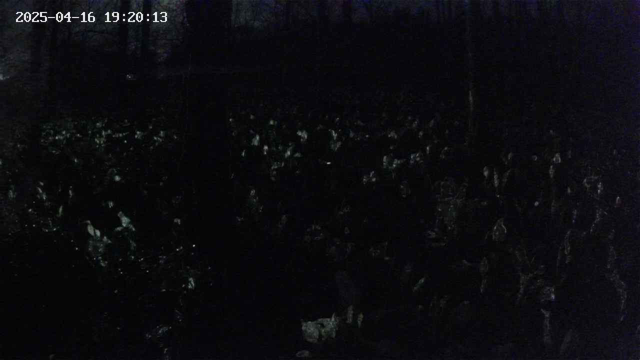 mizubasho1-20250416192014.jpg