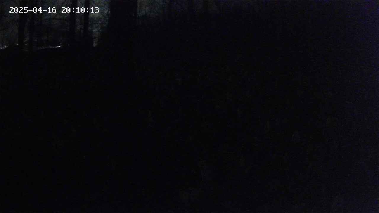 mizubasho1-20250416201014.jpg