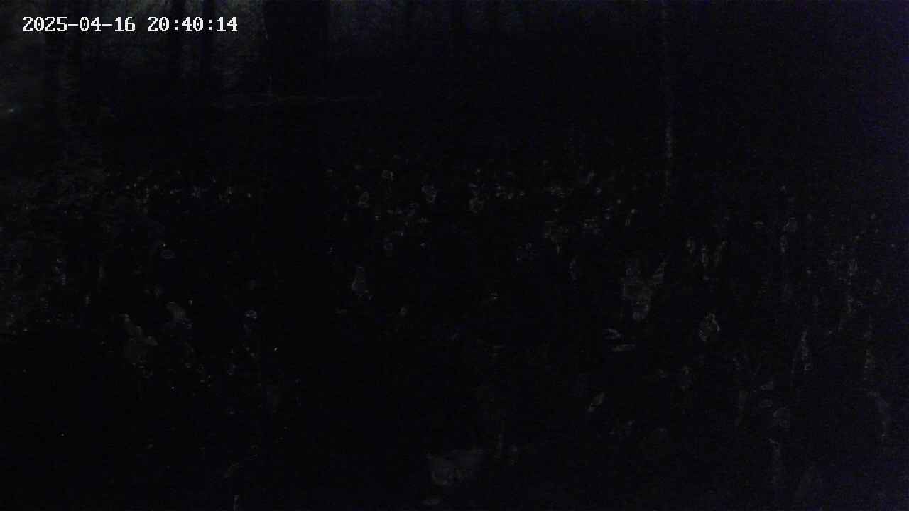mizubasho1-20250416204015.jpg