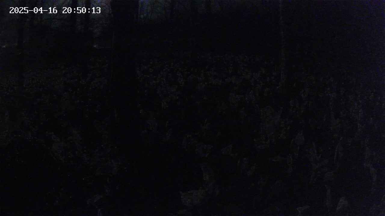 mizubasho1-20250416205014.jpg