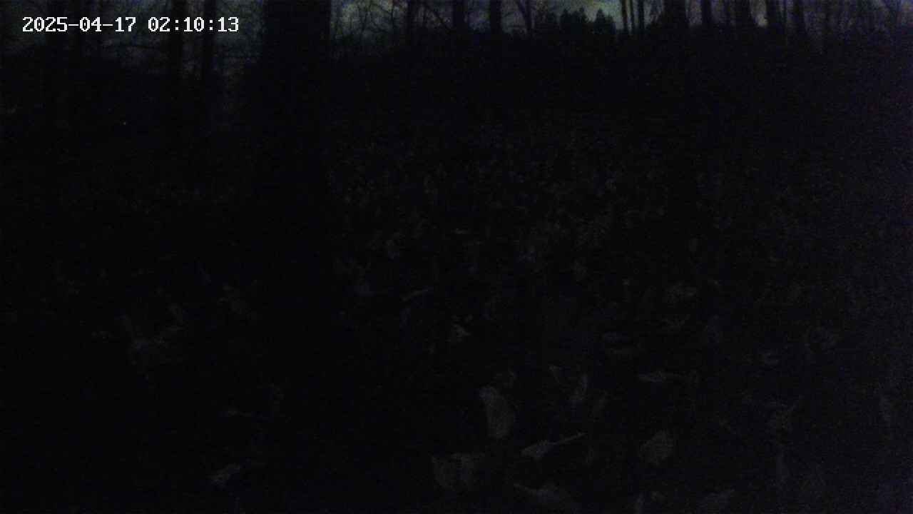 mizubasho1-20250417021013.jpg