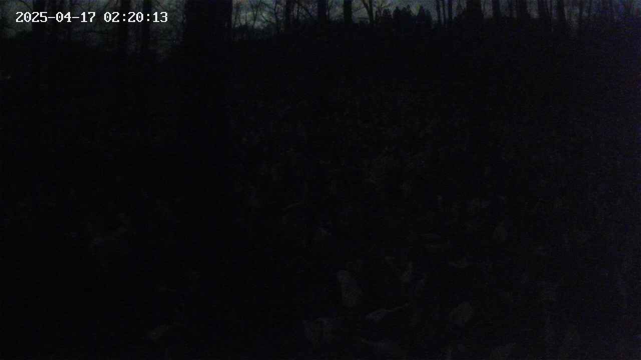 mizubasho1-20250417022014.jpg