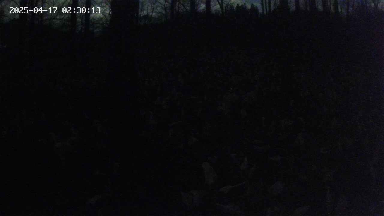 mizubasho1-20250417023014.jpg