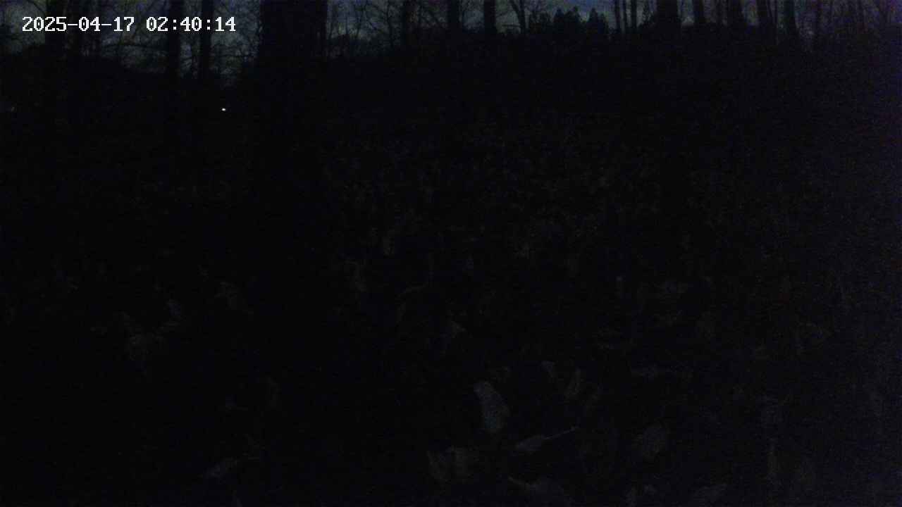 mizubasho1-20250417024014.jpg