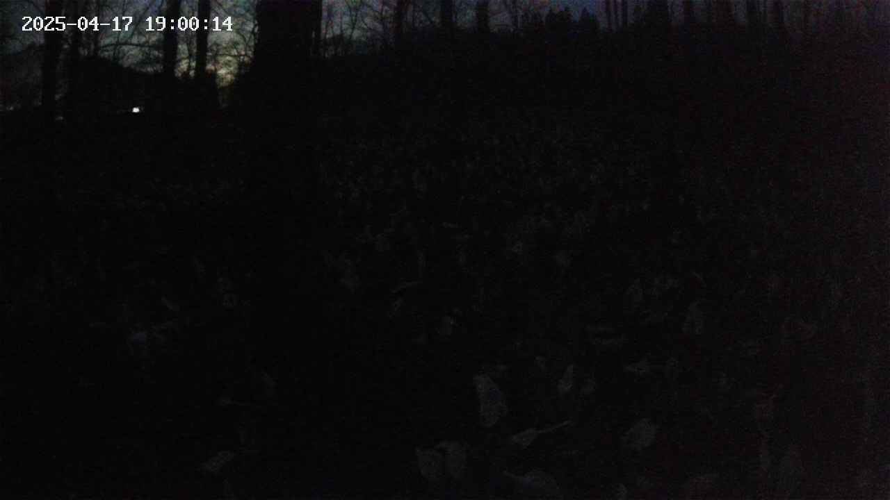 mizubasho1-20250417190015.jpg