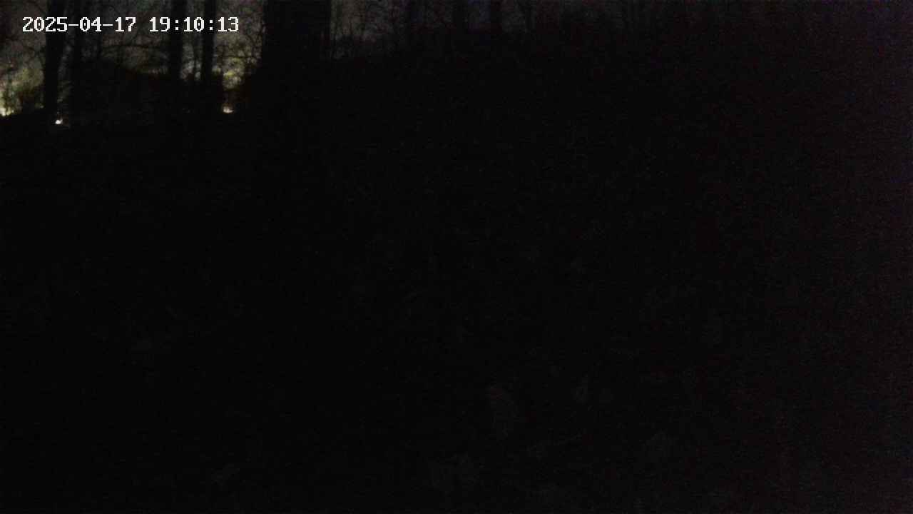 mizubasho1-20250417191014.jpg